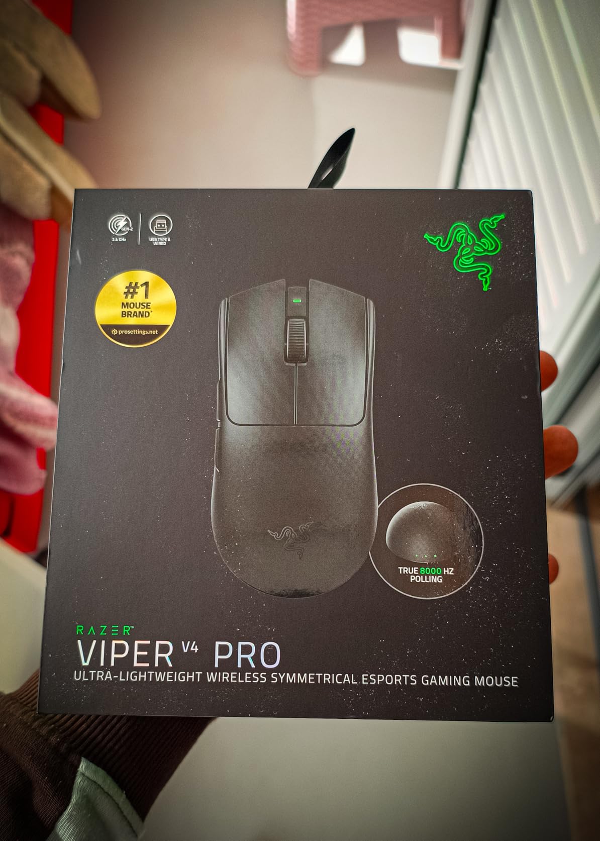 Top esport