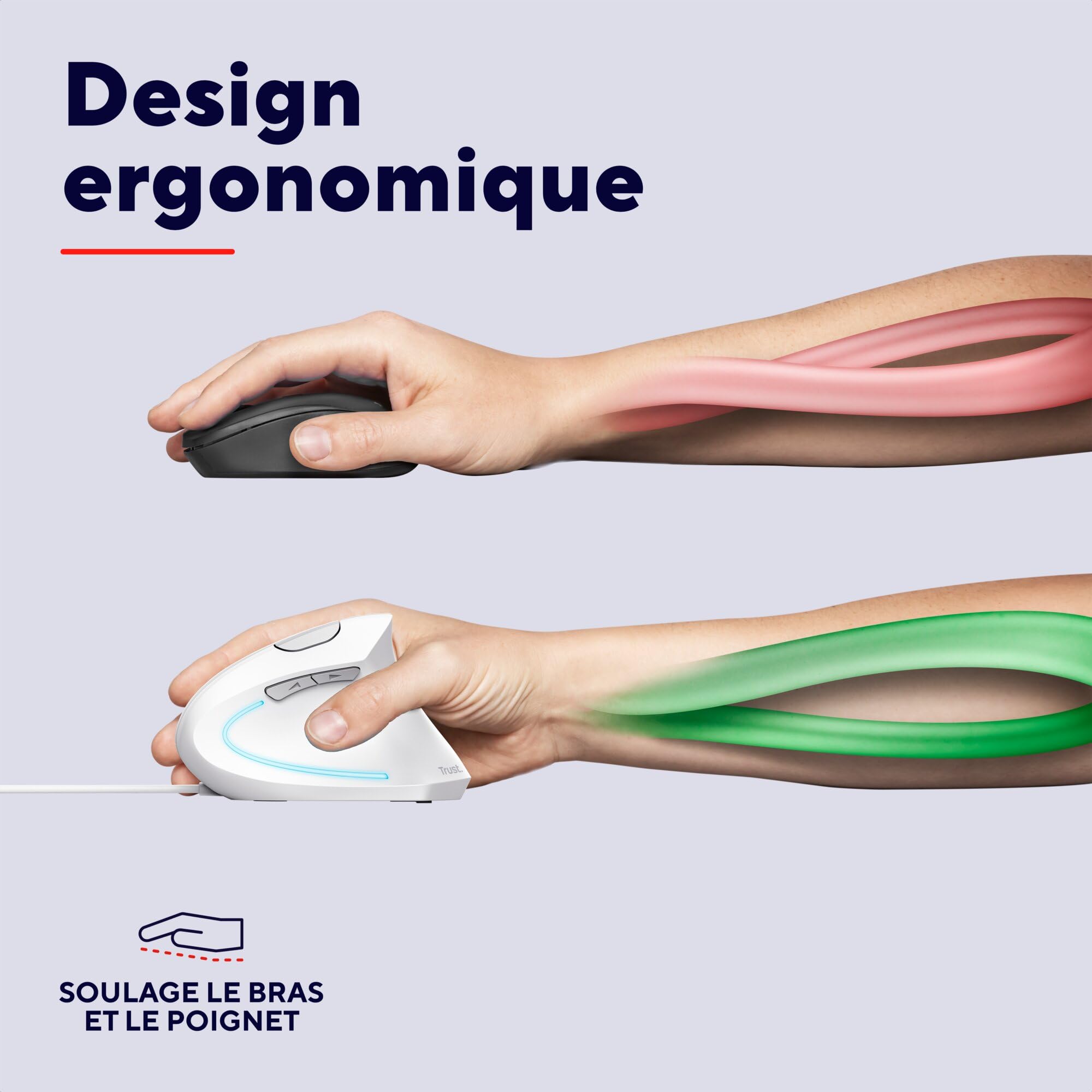 trust-verto-souris-verticale-ergonomique-filaire-1000-1600-dpi-6-boutons-led-pou image 3