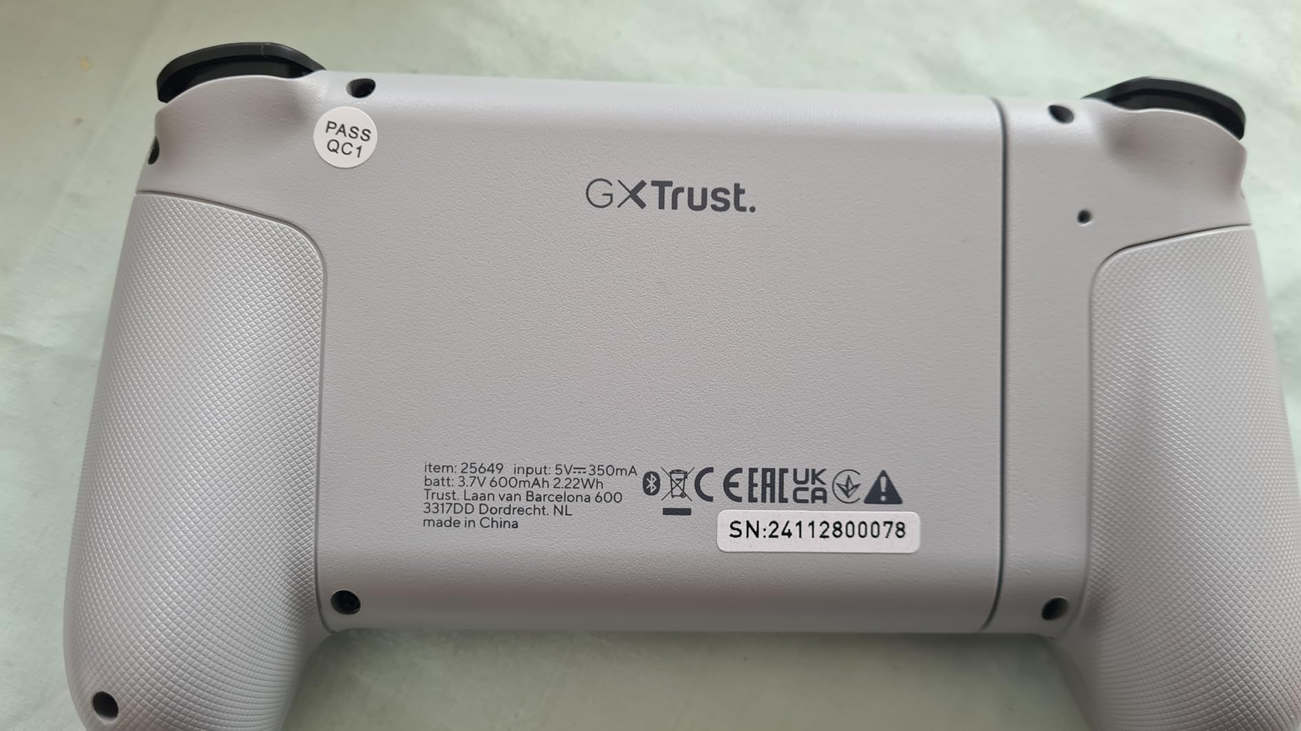 Bien pour Remote Play